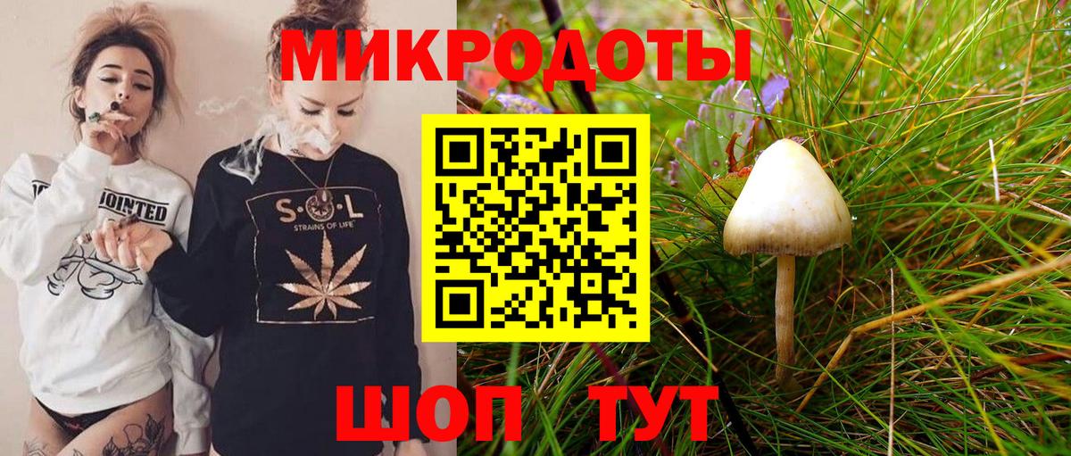 Псилоцибиновые грибы Psilocybine cubensis Можайск