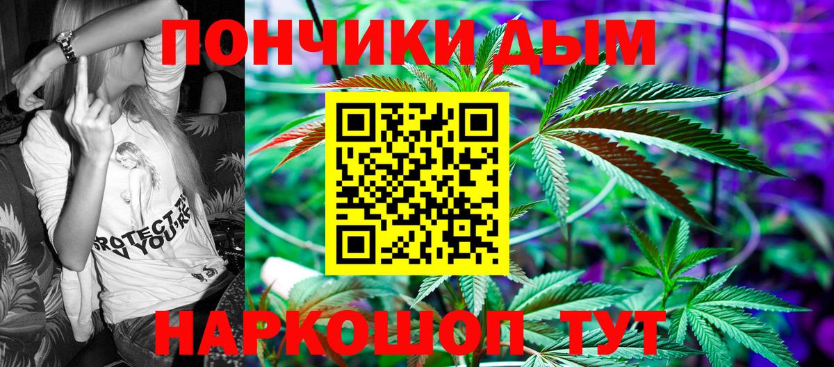 Каннабис сатива Можайск